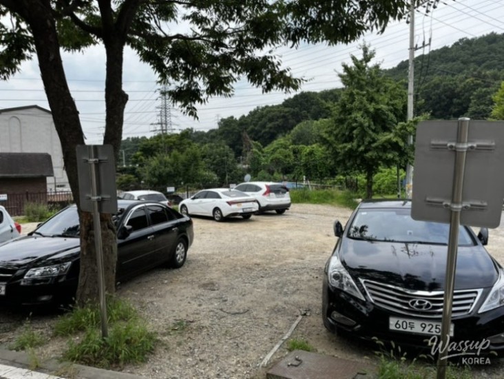 흥미로운 이미지