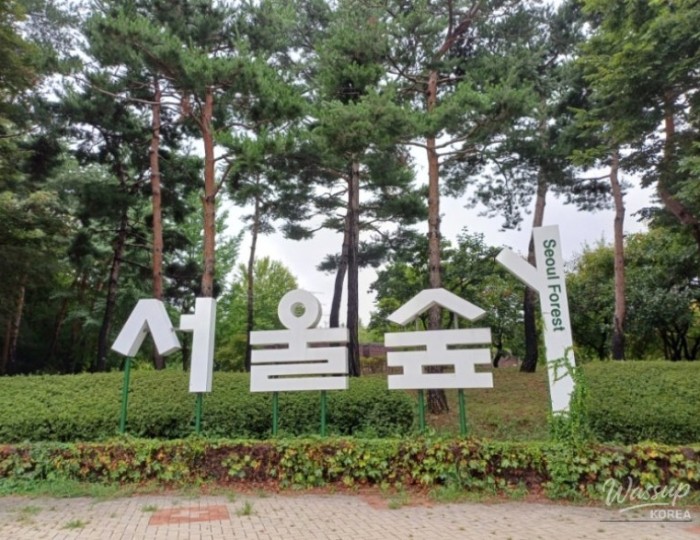 소중한 기억