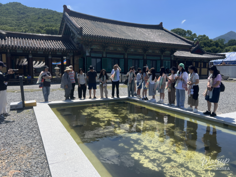놀라운 광경