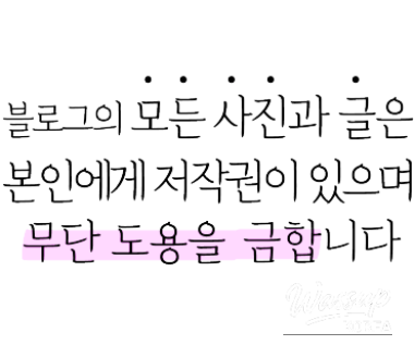 멋진 사진