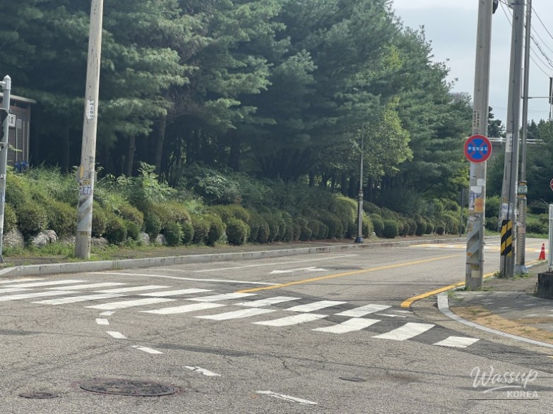 평화로운 풍경