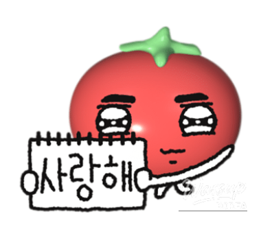 매력적인 사진
