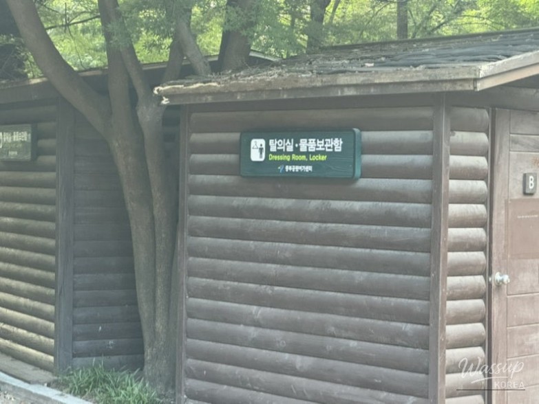 평화로운 풍경