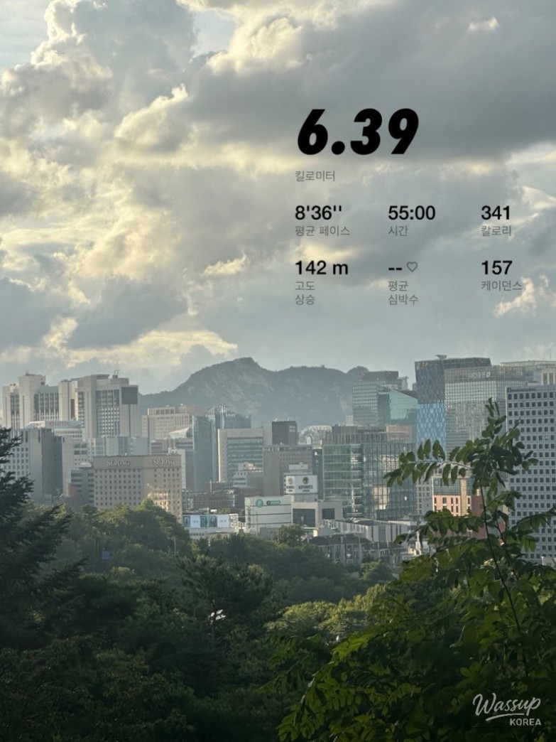 환상적인 장면