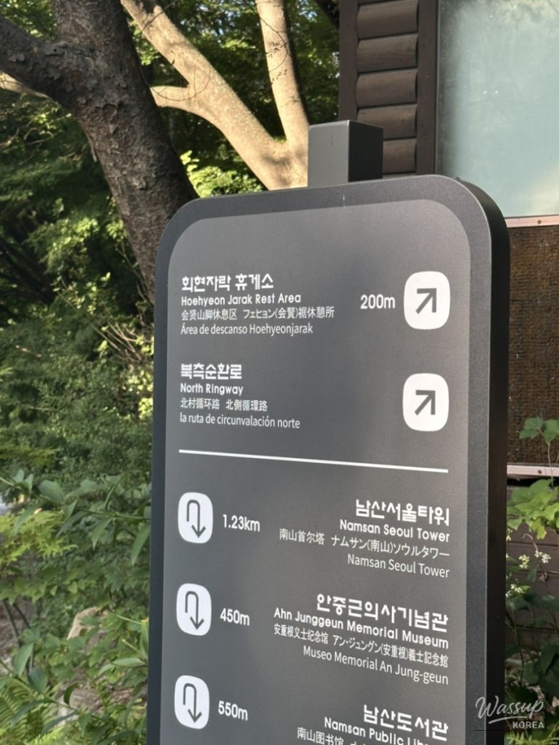 매력적인 사진