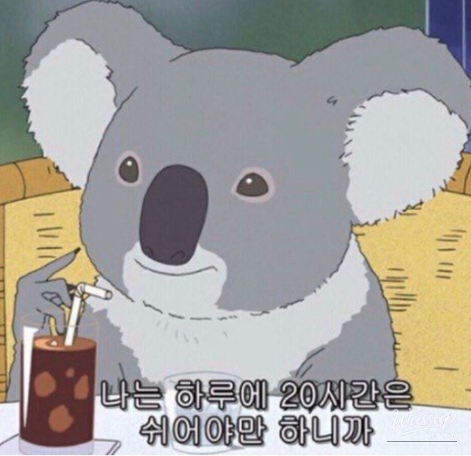 특별한 순간