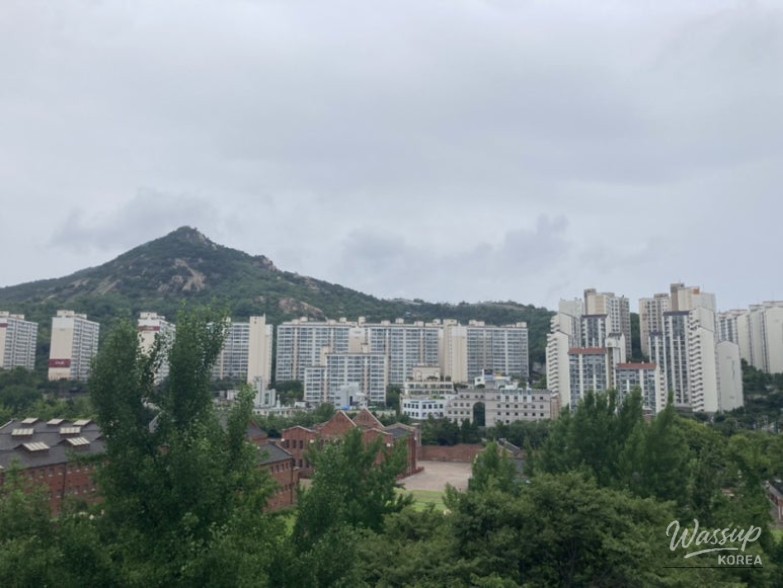 인상 깊은 모습