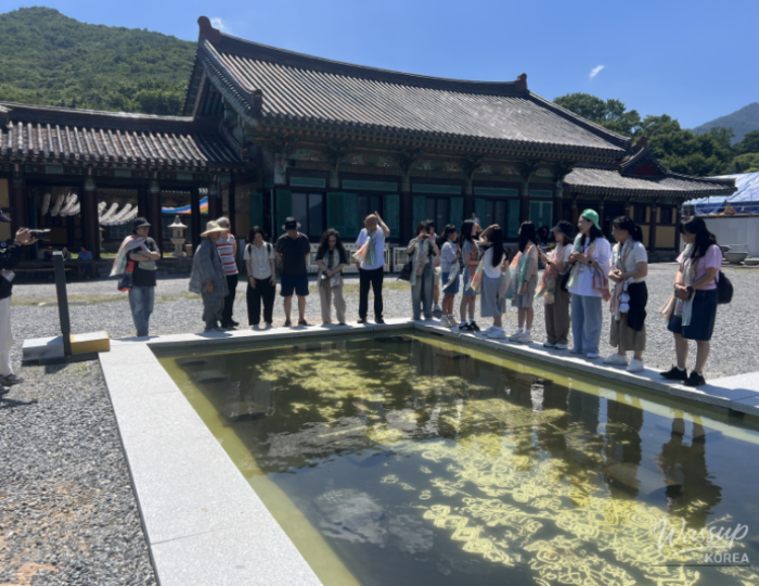 놀라운 광경
