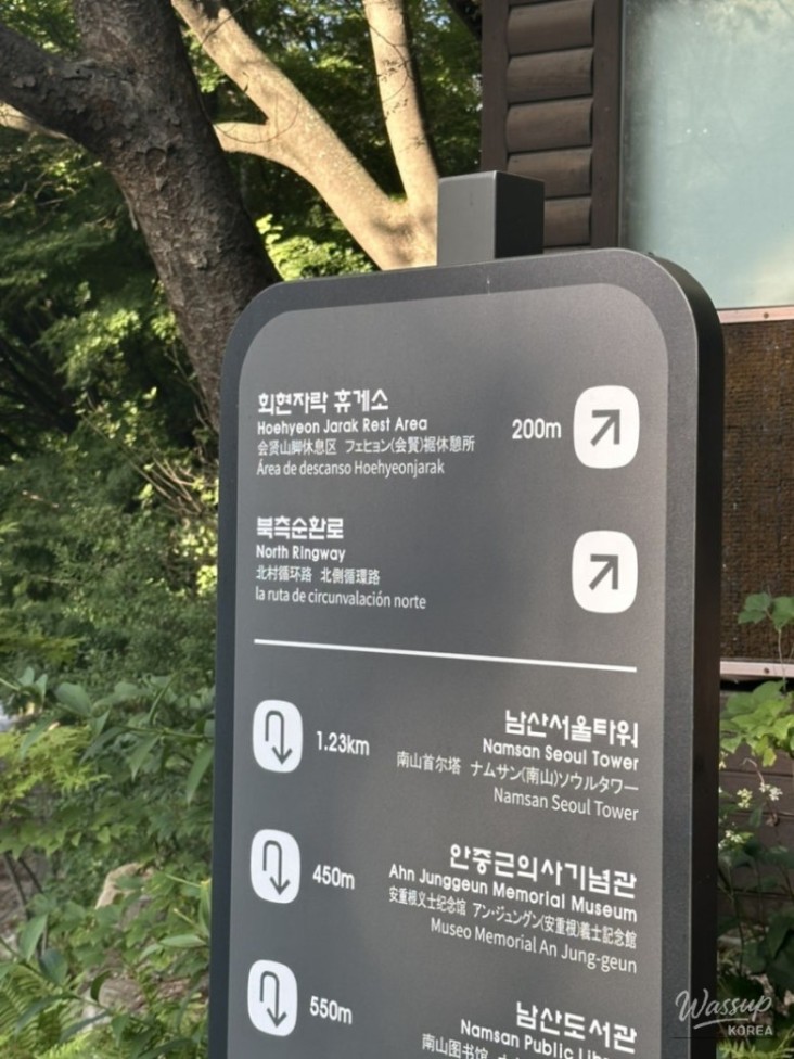 매력적인 사진