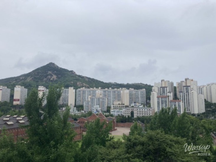 인상 깊은 모습