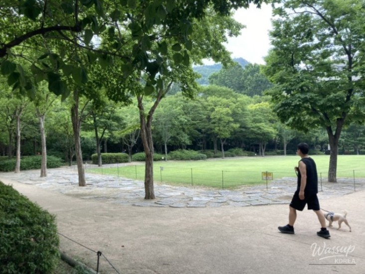 밝은 미래