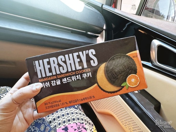 멋진 사진