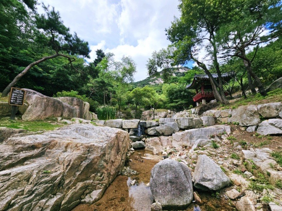 Peaceful Landscape