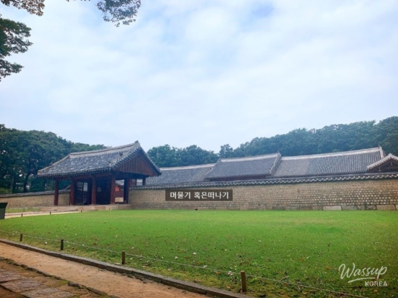 밝은 미래