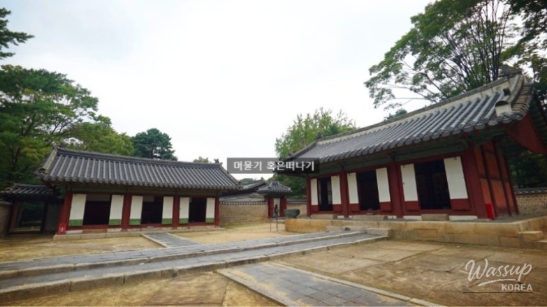 신비로운 모습
