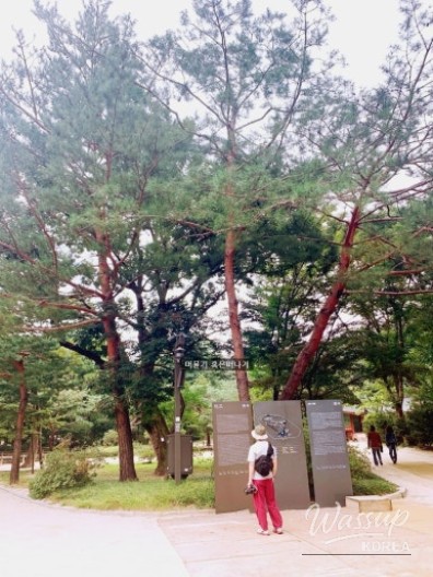 값진 경험