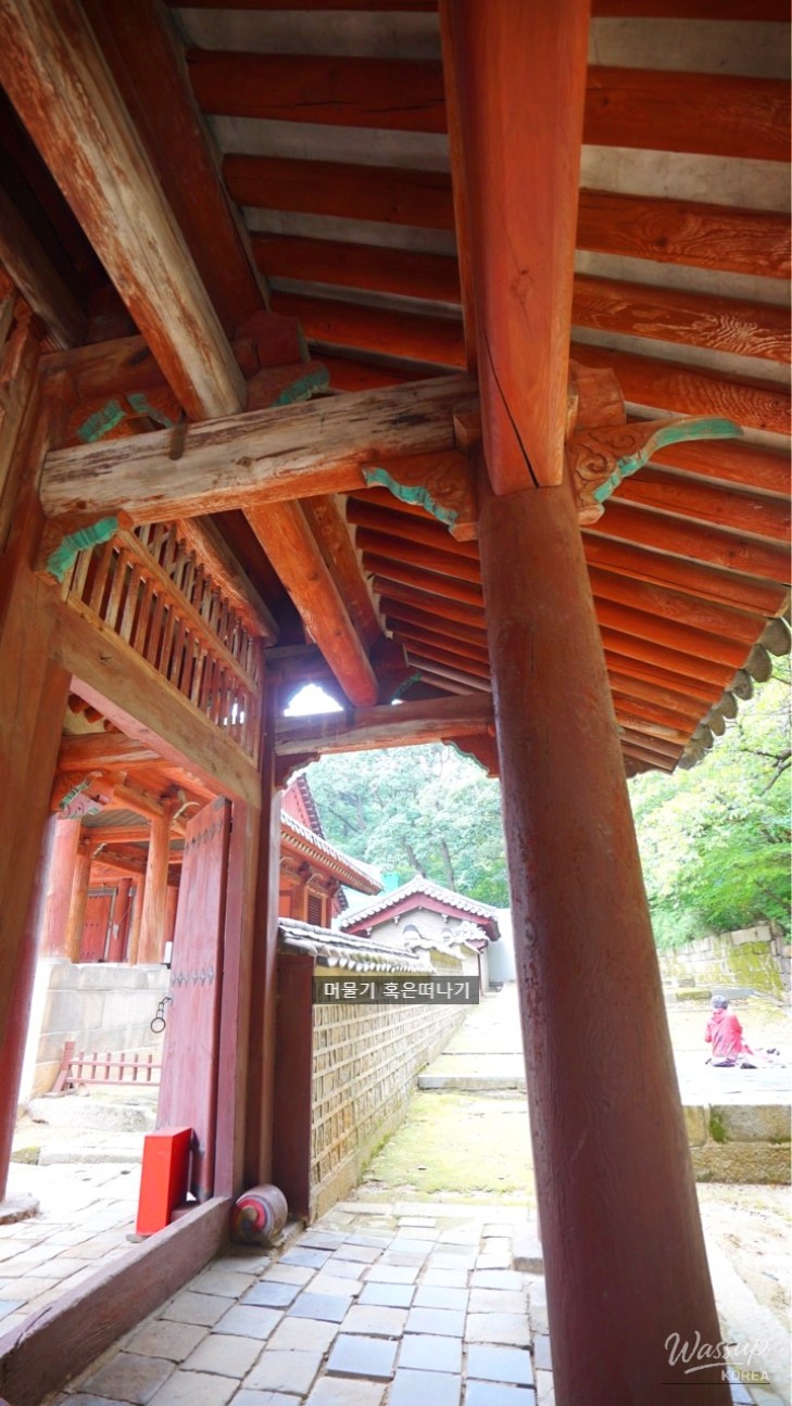 환상적인 장면