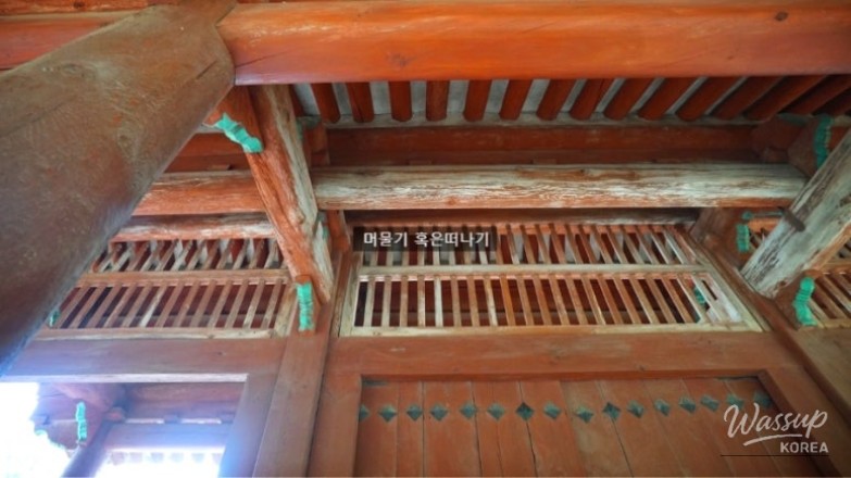 매력적인 사진