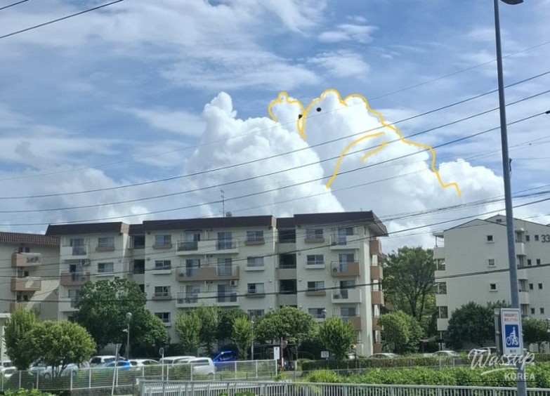 Splendid Scene