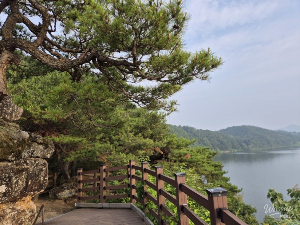 흥미로운 이미지