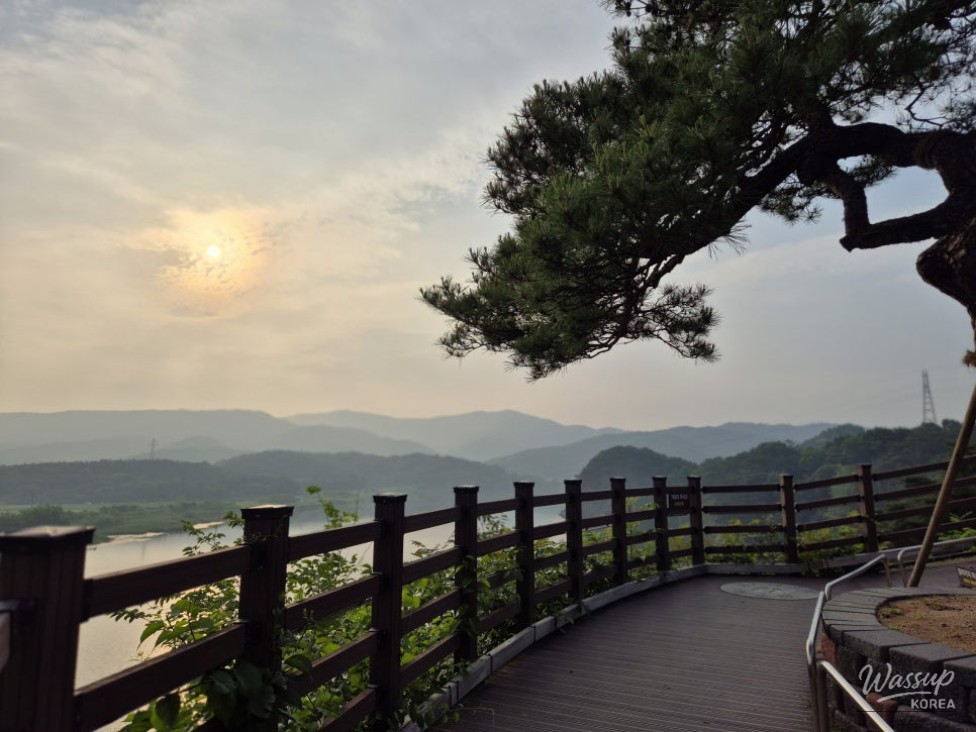 환상적인 장면