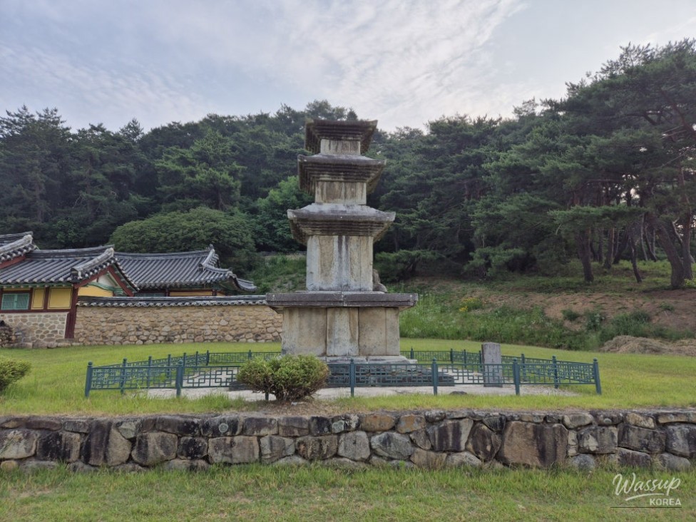 흥미로운 이미지