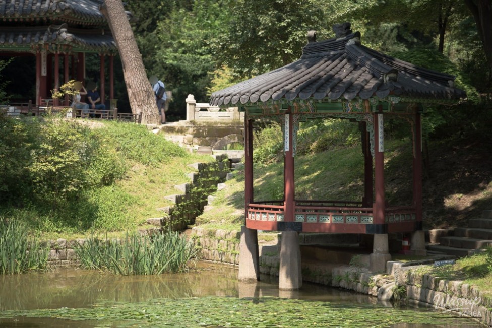 Peaceful Scenery