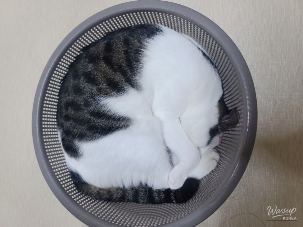 인상 깊은 모습