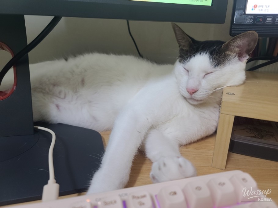 인상 깊은 모습