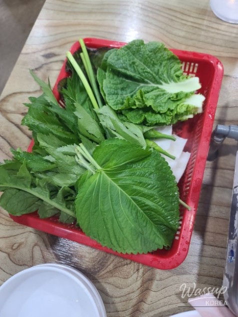 희망찬 내일