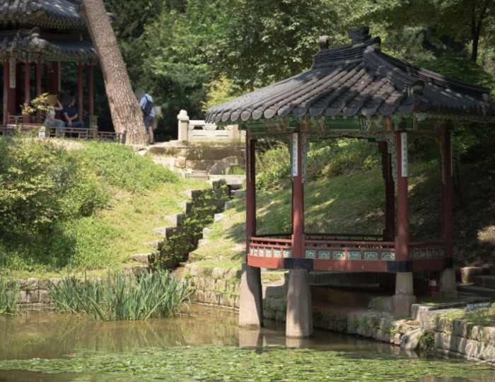 Peaceful Scenery