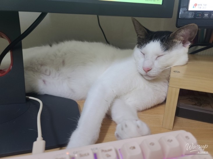 인상 깊은 모습