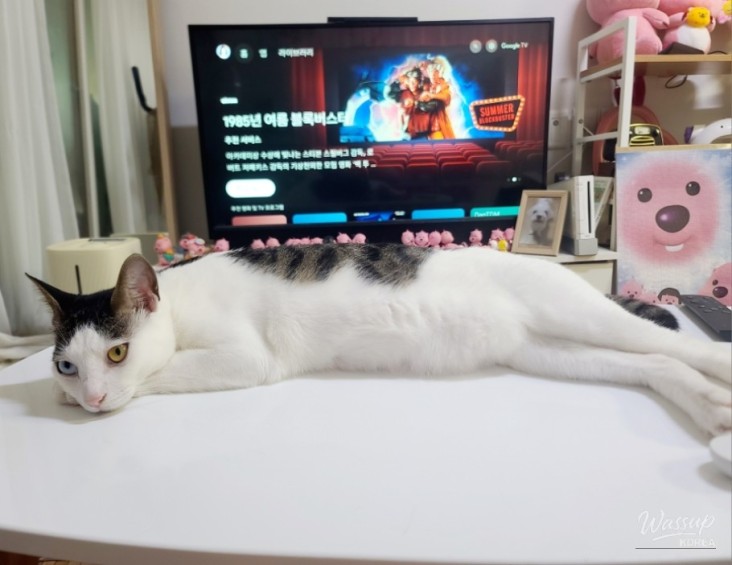 감동적인 장면