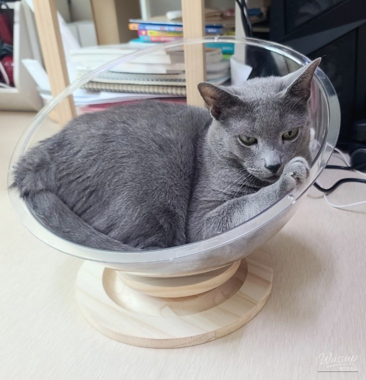 따뜻한 추억