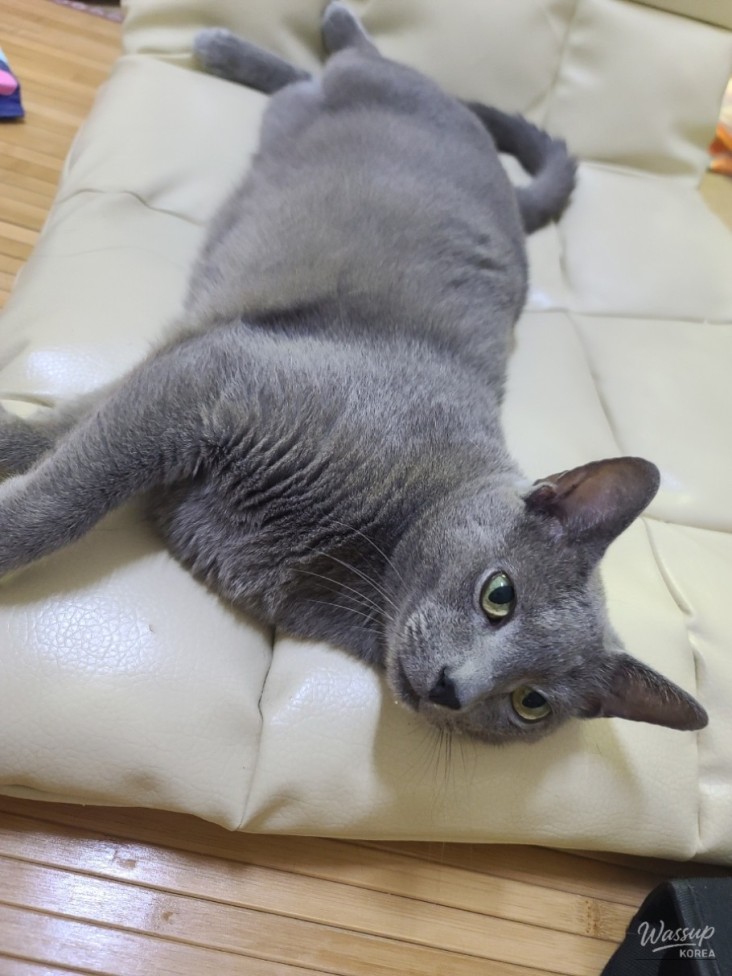 인상 깊은 모습