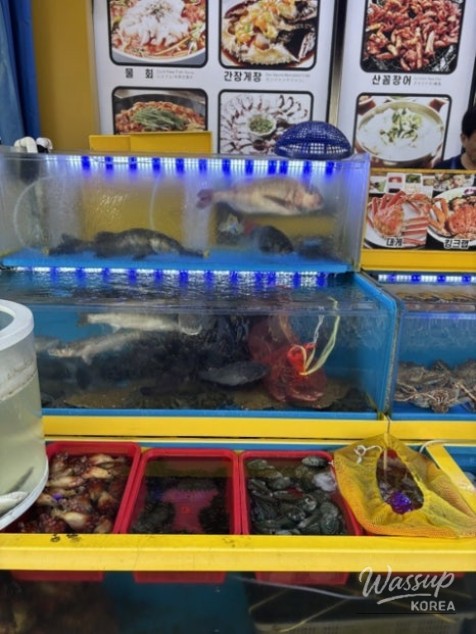 환상적인 장면