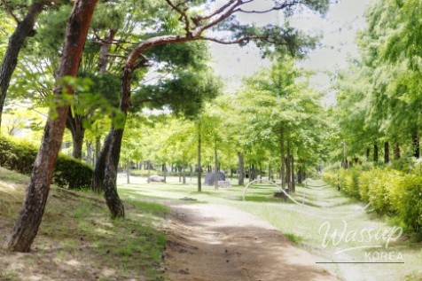 Peaceful Landscape