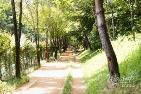 Beautiful Landscape