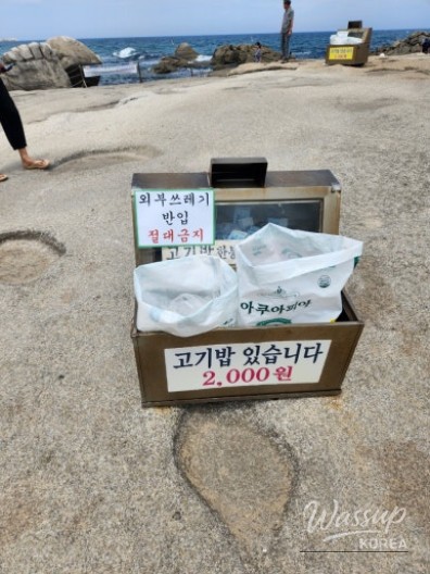행복한 시간