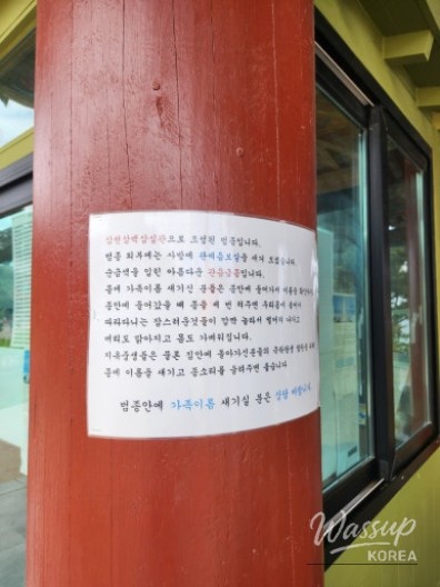 멋진 사진