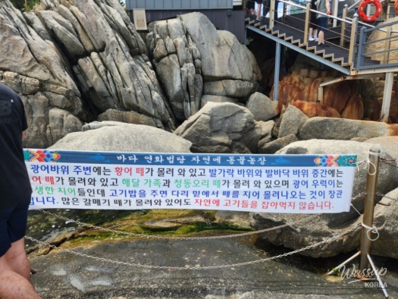 매력적인 사진