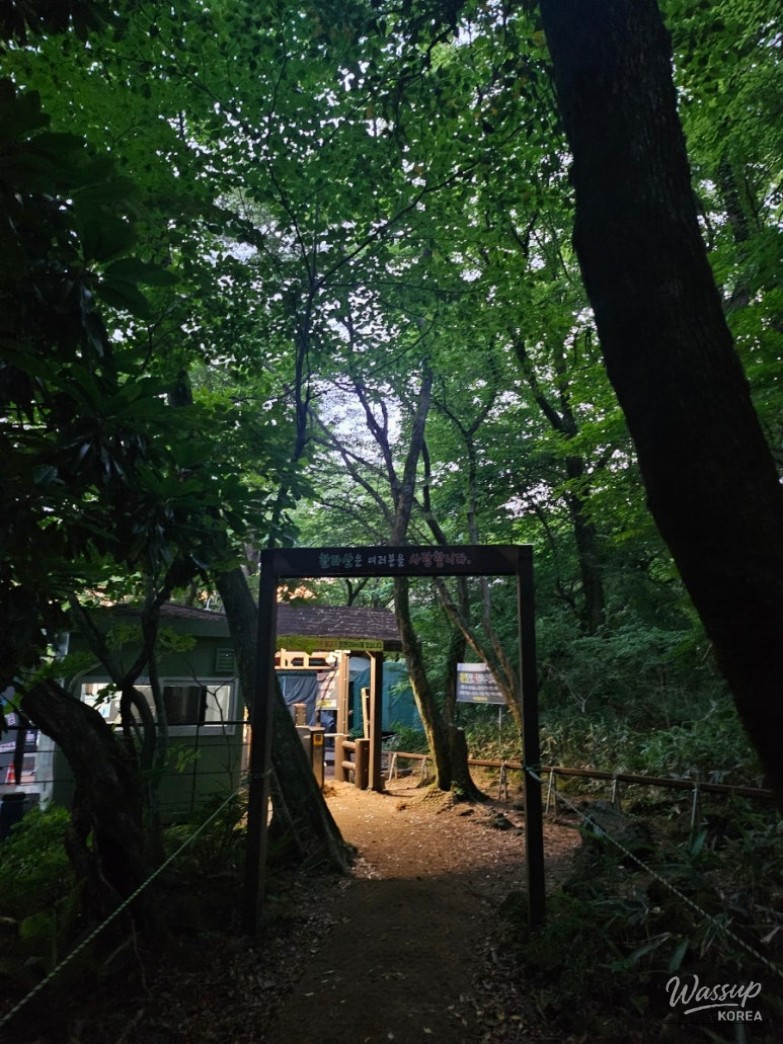 peaceful scenery