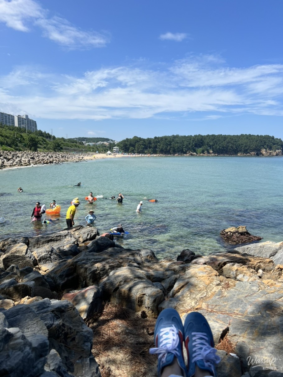 소중한 기억