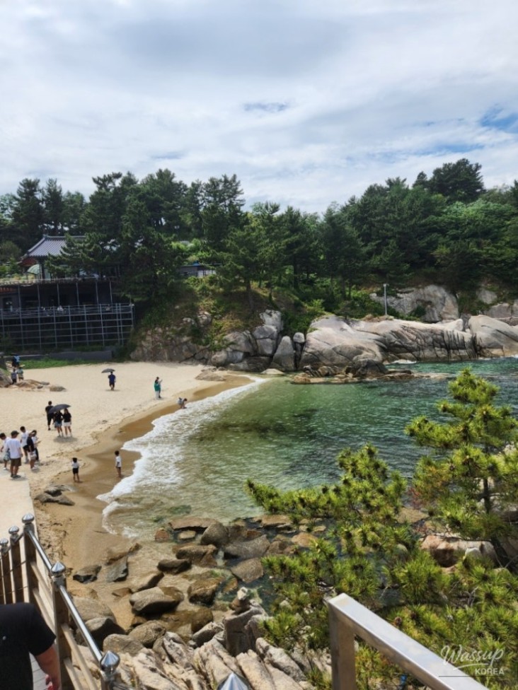 신비로운 모습