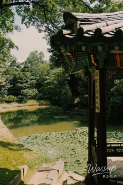 Peaceful Scenery