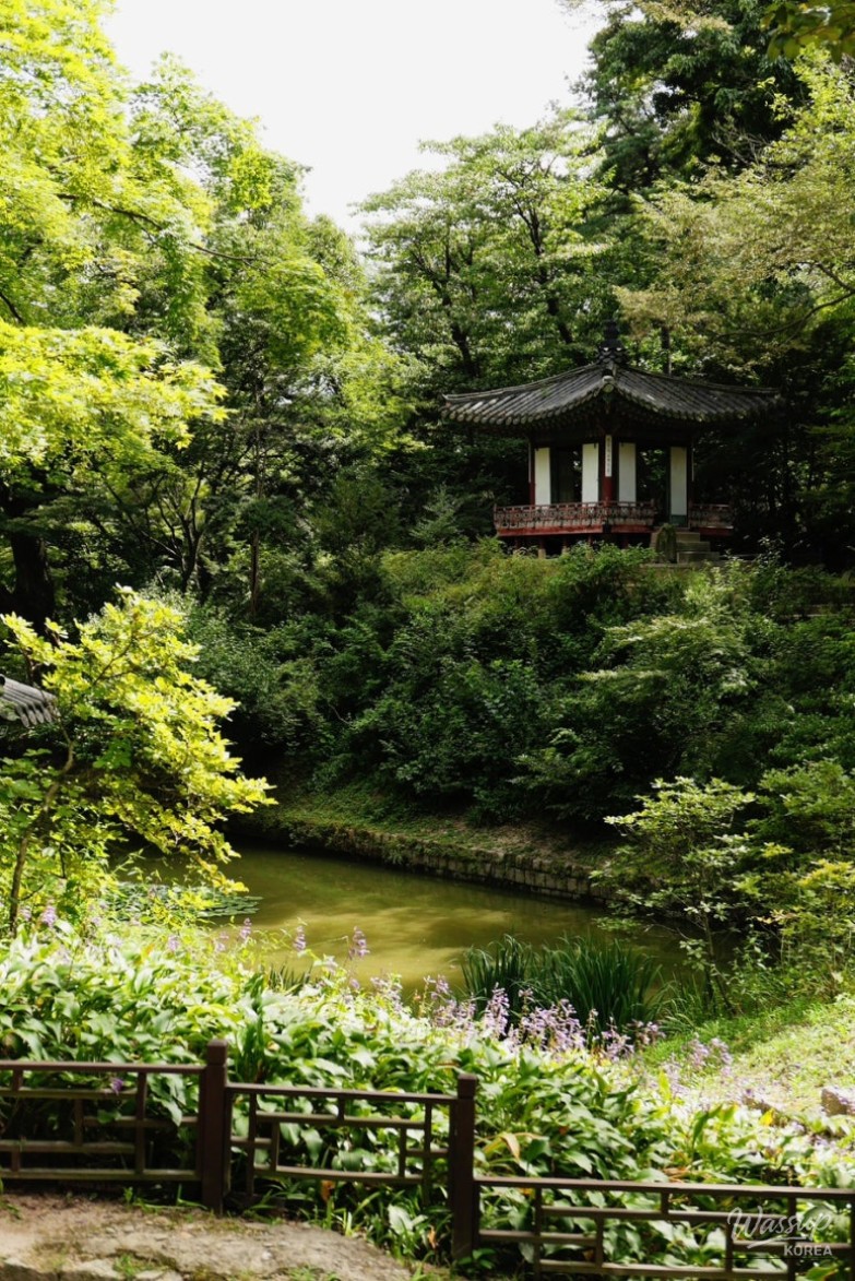 Peaceful Scenery