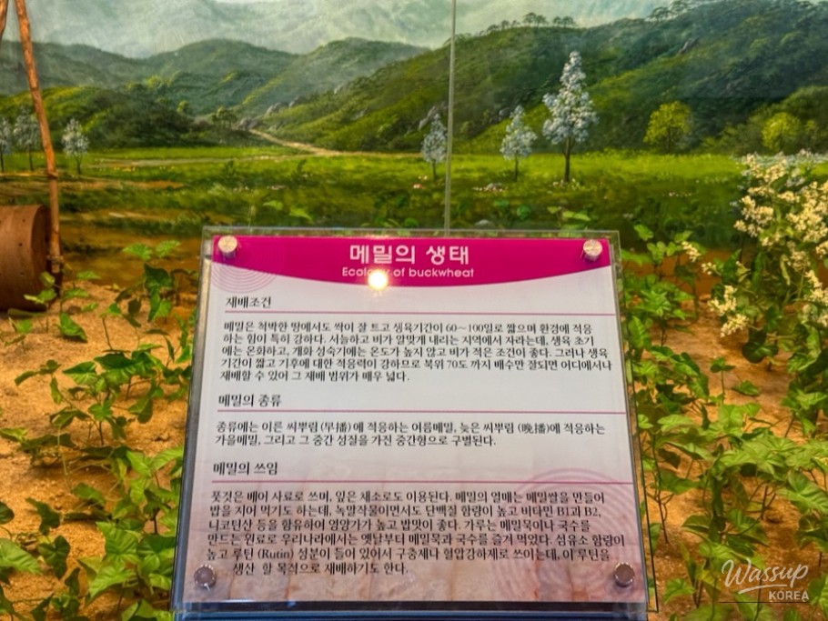 매력적인 사진
