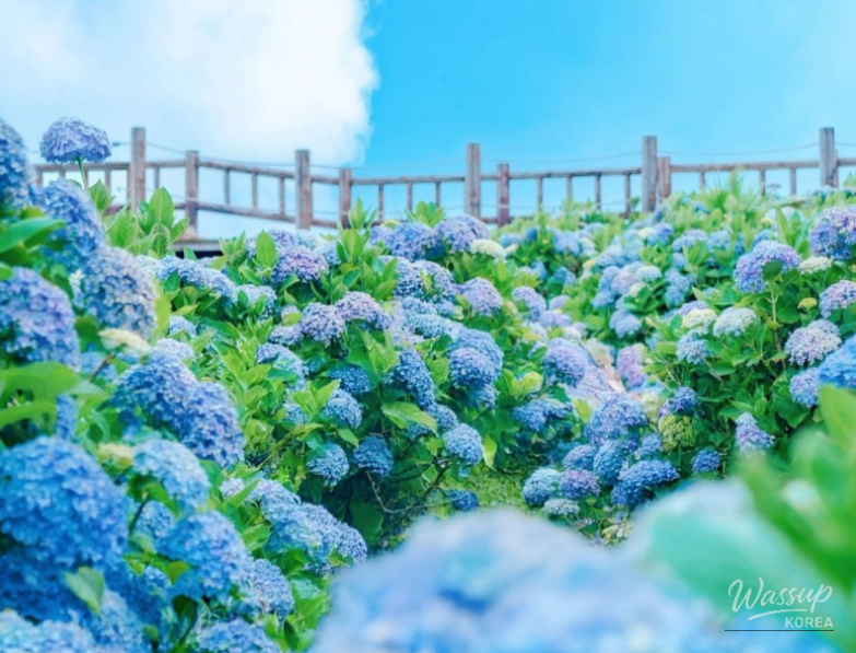 Vibrant Scene