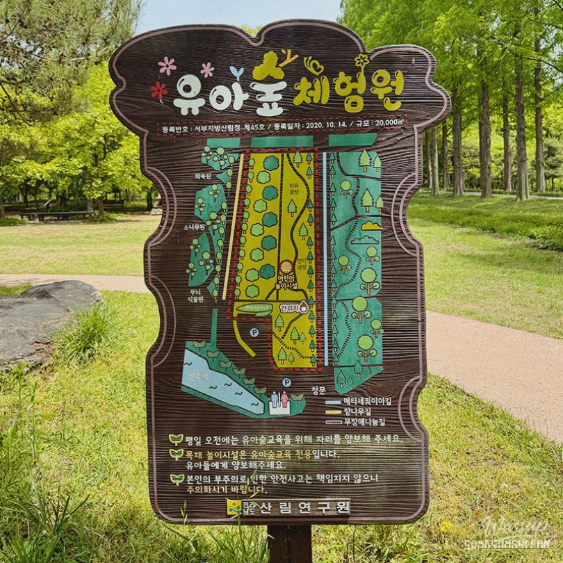 환상적인 장면