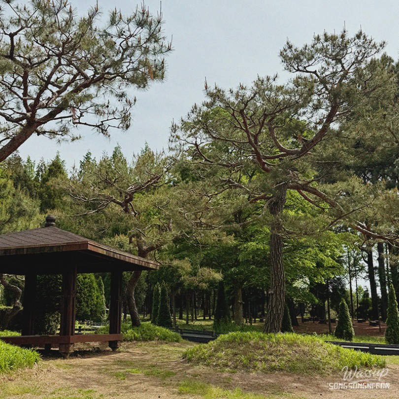 평화로운 풍경